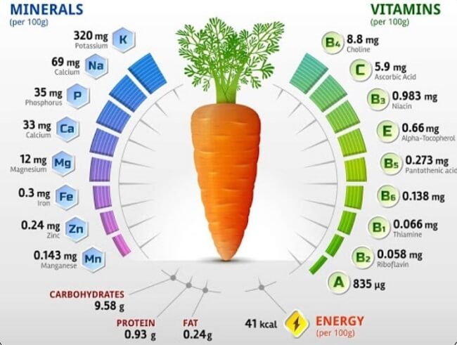 Tác Dụng Của Cà Rốt Đối Với Các Hệ Thống Cơ Thể